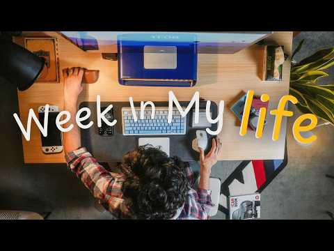 Week the  My Life of an 25 Y/O agency owner In Mumbai!