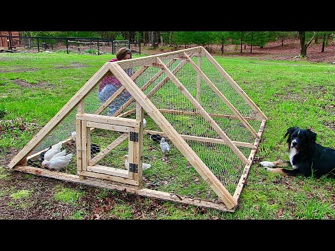 Affordable Chicken run build