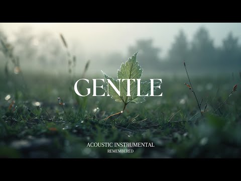 Peaceful Guitar for Stress Relief, work and study