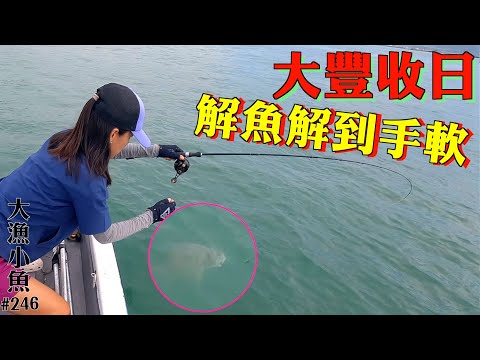 大豐收 解魚解到手軟┃不打魚鱗蒸魚法┃香港釣魚┃大漁小魚#246 ┃中文字幕