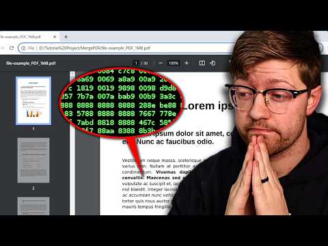 They're hacking PDFs now