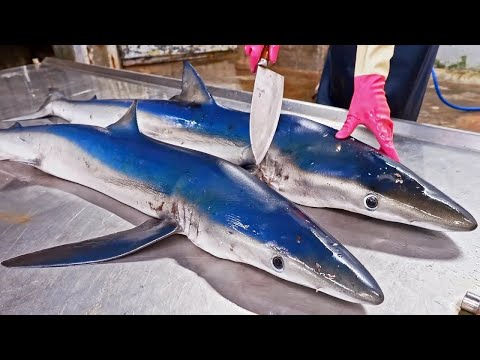 Amazing Shark Cutting Skills, Shark Recipe Preparation and Cooking/驚人的鯊魚切割技巧, 鯊魚炒芹菜 ,麻油鯊魚 - Sea Food