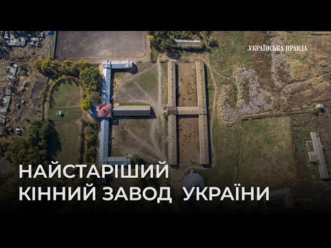 Новодеркульський кінний завод