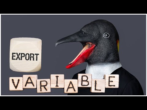 Understand Bash Environment Variables With This Deep Dive