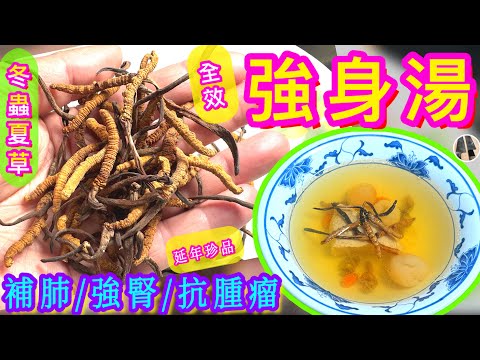 【冬蟲夏草清燉湯🐛🍄】全面強身養顏回春👶🏻強免疫治未病⭐️賀年宴客⭐️四季皆宜⭐️簡易珍貴靚湯🎋🧧