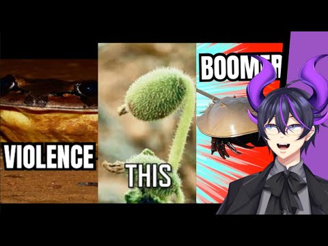 How did they evolve like this? | Kip Reacts to More Parz