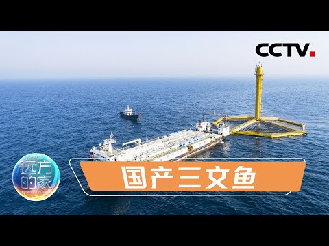 黄海能养三文鱼？前往中国最大深海网箱养殖基地“深蓝一号”一探究竟 20211117 |《远方的家》CCTV中文国际