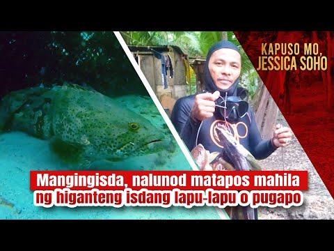 Mangingisda, nalunod matapos mahila ng higanteng isdang lapu-lapu o pugapo | Kapuso Mo, Jessica Soho
