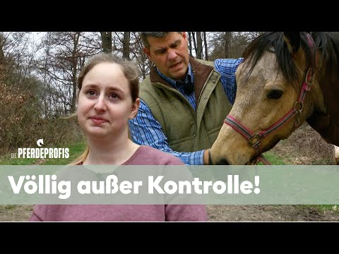 Zu gefährlich? Muss dieses Pferd aufgegeben werden? 😦| Die Pferdeprofis | VOX