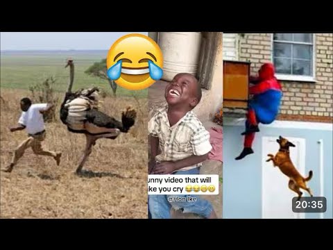 Hilarious & Interesting Videos Ever || Hahaππ || Laugh Out Loudπ€£ || Extended Compilation ||