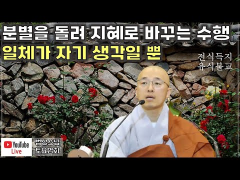 [돈오52] 분별을 돌려 지혜로 바꾸는 수행, 일체가 자기 생각일 뿐, 전식득지, 유식불교