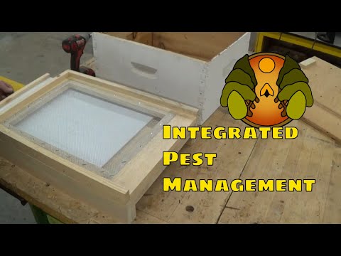 How to Make a Screened Bottom Board for a Beehive