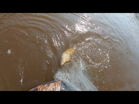 РЫБАЛКА УДАЛАСЬ!!! КИДАЛ,КИДАЛ И ВСЁ ТАКИ Я ЕГО ПОЙМАЛ!!! САЗАН НА КАСТИНГОВУЮ СЕТЬ ОТ "СИБ KAST"