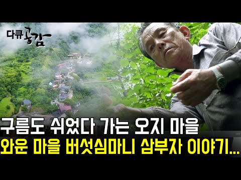 [다큐공감] 구름도 쉬었다 가는 오지 마을?? 와운 마을 버섯심마니 삼부자 이야기... | KBS 2017.09.30