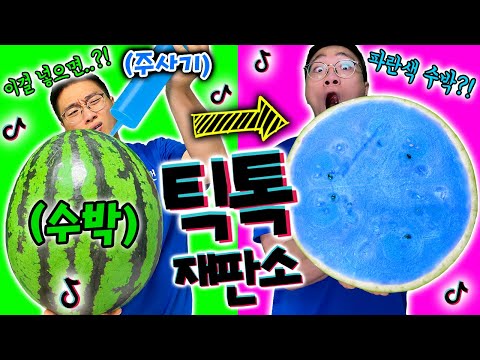 1초만에 파란색 수박을 만드는 방법..?! [틱톡재판소 17탄]