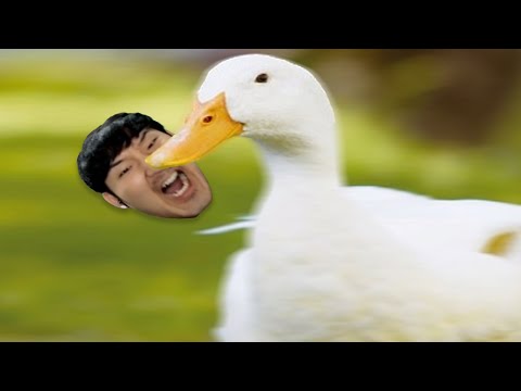 게임하는데 누가 자꾸 방해합니다