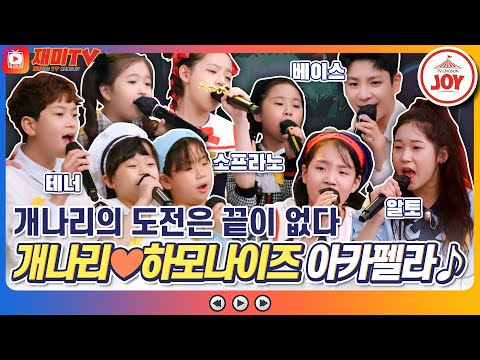 [재미TV] 본업 천재 개나리들의 아카펠라 도전!! 하모나이즈 쌤과 라이언 킹의 서클 오브 라이프(Circle of Life)♬ #개나리학당 (TV CHOSUN 220516 방송)