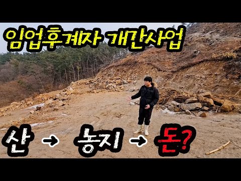 (꿀팁) 임야를 농지로 만들면 땅의 가치가 올라간다 임업후계자 인터뷰 산을 개간하는 개간사업 꿀팁과 주의사항