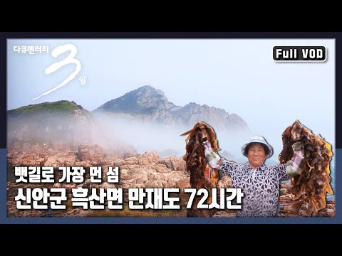 [다큐3일★풀버전] 깎아지른 바위산 앞, 만재도 미역수확기 "섬 인생을 품다 신안군 흑산면 만재도" (KBS 130811 방송)