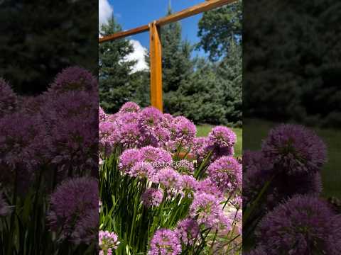 Started 2025 cleaning drywall dust…and managed to knock out a few more DIY projects along the way 🙌