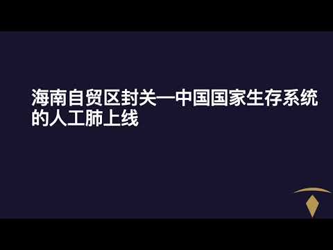 海南自贸区封关——中国国家生存系统的人工肺上线