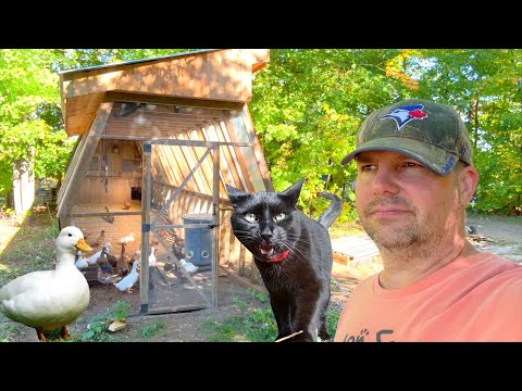 Fixing a Building Mistake on the Duckie Bunkie
