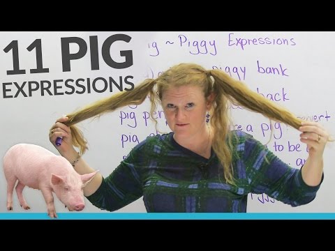 11 PIG expressions in English: "pig out", "pig tails", "piggy back"...