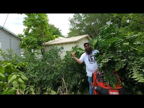 She was in DESPERATE NEED of HELP & TOLD ME "MY GRANDKIDS HAVE NEVER BEEN ABLE TO PLAY OUTSIDE"