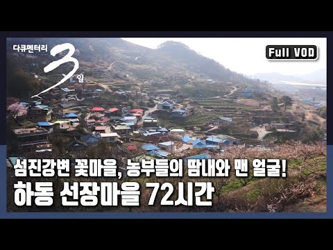 [다큐3일★풀버전] 물길 따라 찾아간 섬진강변 🌸꽃마을 | "다시, 봄 - 하동 선장마을" (KBS 20170319 방송)