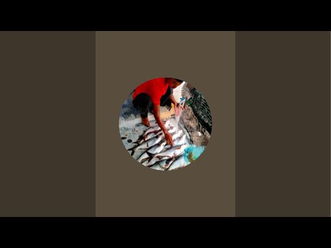 Câu cá vùng biên giới!