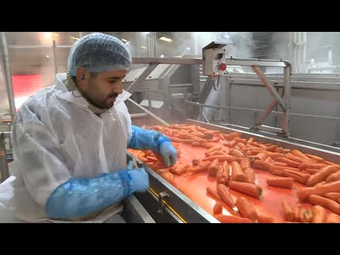 Les surgelés, amis ou ennemis ?