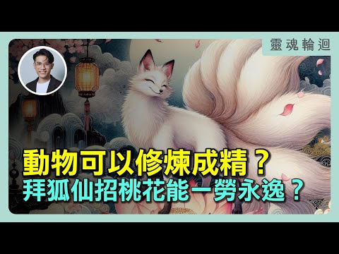 動物可以修煉成精？拜狐仙招桃花能一勞永逸嗎？｜靈魂輪迴系列