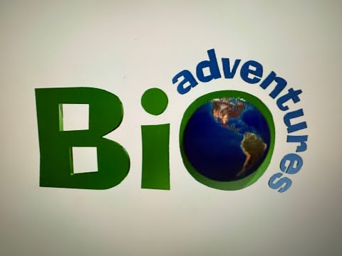 Bio Adventures Pilot