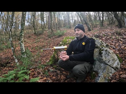 We Found Roman Gold Coins Buried Inside a Rock