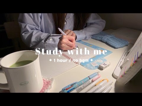 1 HOUR study with me📖🪄 / no bgm, no break, pencil asmr, background noise