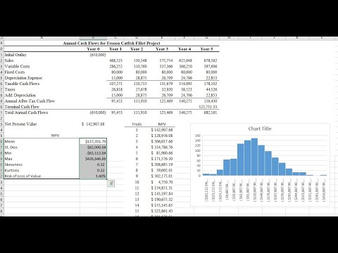 Monte Carlo Part 2 - NPV XL