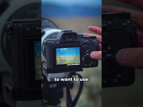 The Best Autofocus Settings for Wildlife Photography with Austin James Jackson