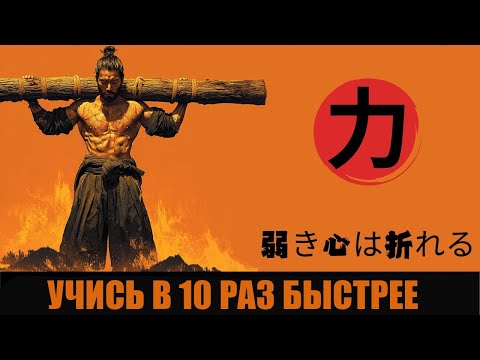 Вы Учитесь Слишком Медленно  Вот Как Это Делают в Японии 3 Этапа Shuhari