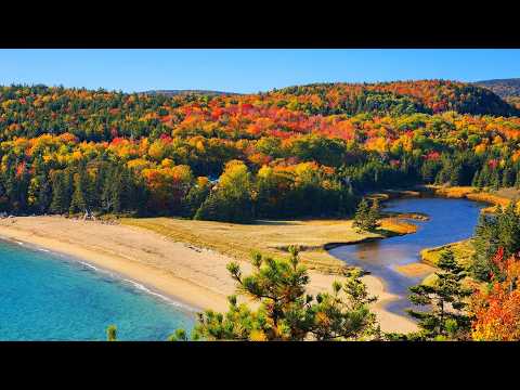 Soothing Piano Music, "Acadia National Park" 🌲🍂 Relaxing Piano Music to Calm Mind & Reduce Anxiety