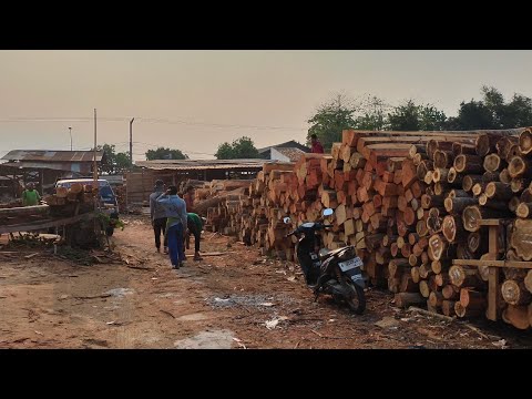 Proses Penggergajian Kayu Menggunakan Bandsaw 42