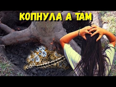 КОПНУЛА И ОБАЛДЕЛА  -  НАХОДКА ВПЕРВЫЕ ЗА МНОГО ЛЕТ ПОИСКА