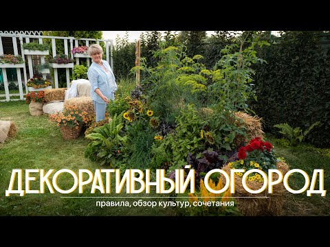 Декоративный огород. Что учесть при подборе культур