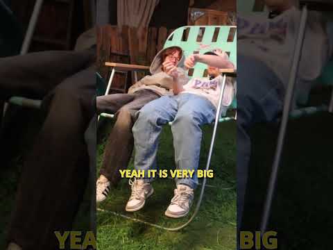 Nicks Real Thoughts On Ludwigs Chair