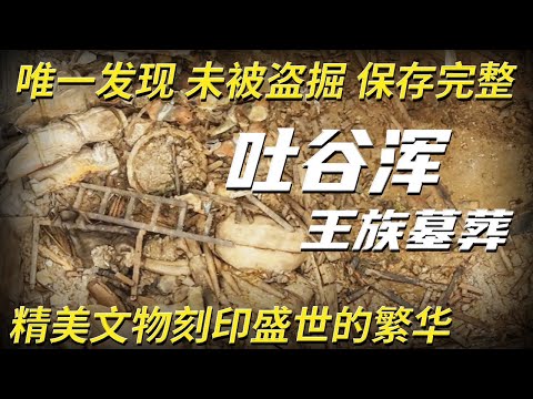 王族大墓的出现惊动考古界！珍贵文物堆积如山无处下脚 消失古国的王族成员为何会成为大唐的将军？——吐谷浑王族大墓特辑 | 中华国宝