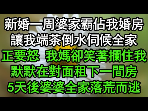 新婚一周婆家霸佔我婚房，讓我端茶倒水伺候全家，正要怒 我媽卻笑著攔住我，默默在對面租下一間房，5天後婆婆全家落荒而逃#深夜淺讀 #為人處世 #生活經驗 #情感故事