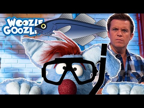 Was ist das Wattenmeer? l WOOZLE GOOZLE