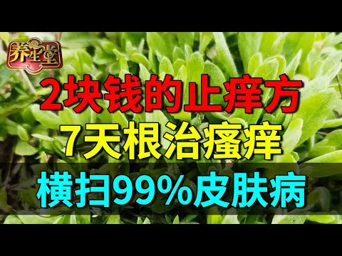 皮肤瘙痒别挠了！中医最爱的止痒方，这个草熬成水，7天根治湿疹瘙痒，彻底告别皮肤病【养生堂】