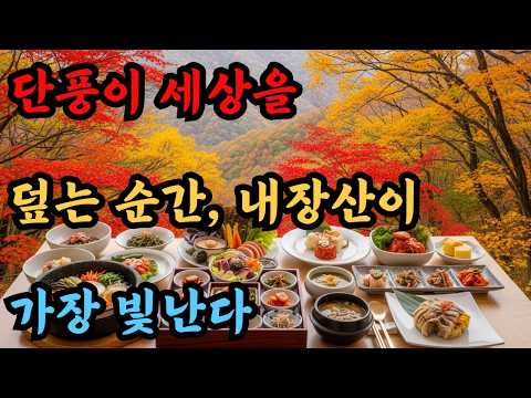 🍁 “단풍이 세상을 덮는 순간, 내장산이 가장 빛난다”