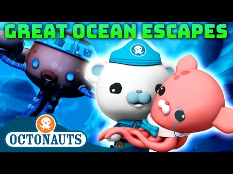 @Octonauts - π Great Ocean Escapes π | 80 Mins+ Compilation | Underwater Sea Education for Kids