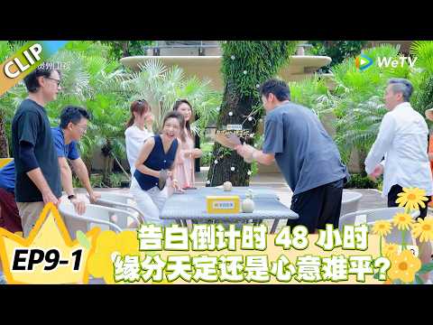 日落时分说爱你 EP9-1:距大告白仅剩 48 小时!最后一次分组约会,缘分天定还是心意难平!#恋综 #日落时分说爱你